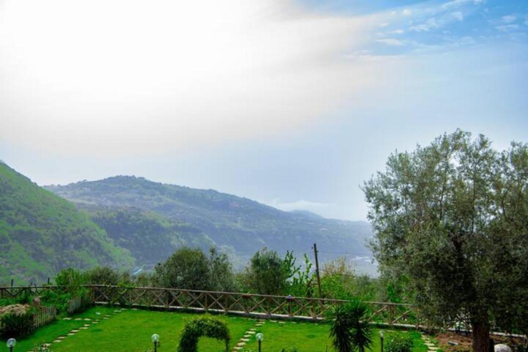 Villa Aurora Oasi Verde Σορέντο Εξωτερικό φωτογραφία