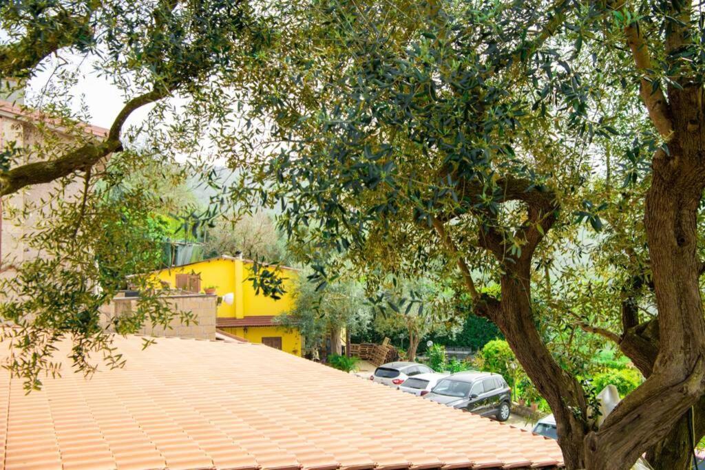 Villa Aurora Oasi Verde Σορέντο Εξωτερικό φωτογραφία
